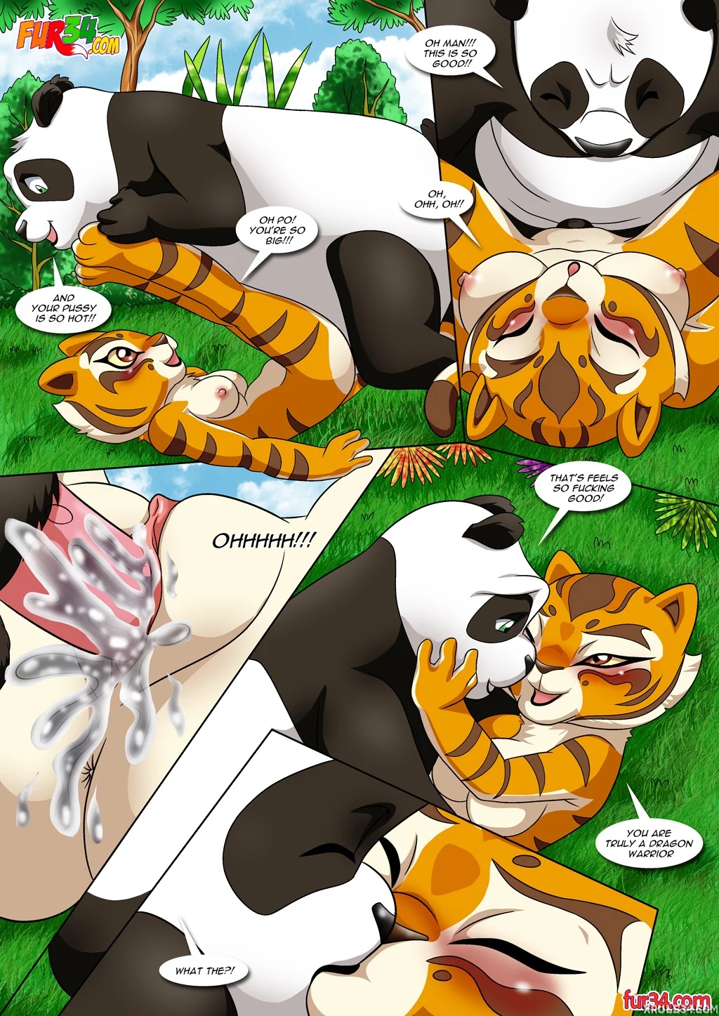 The True Meaning of Awesomeness (Kung Fu Panda) Chapter 1 - Page 12