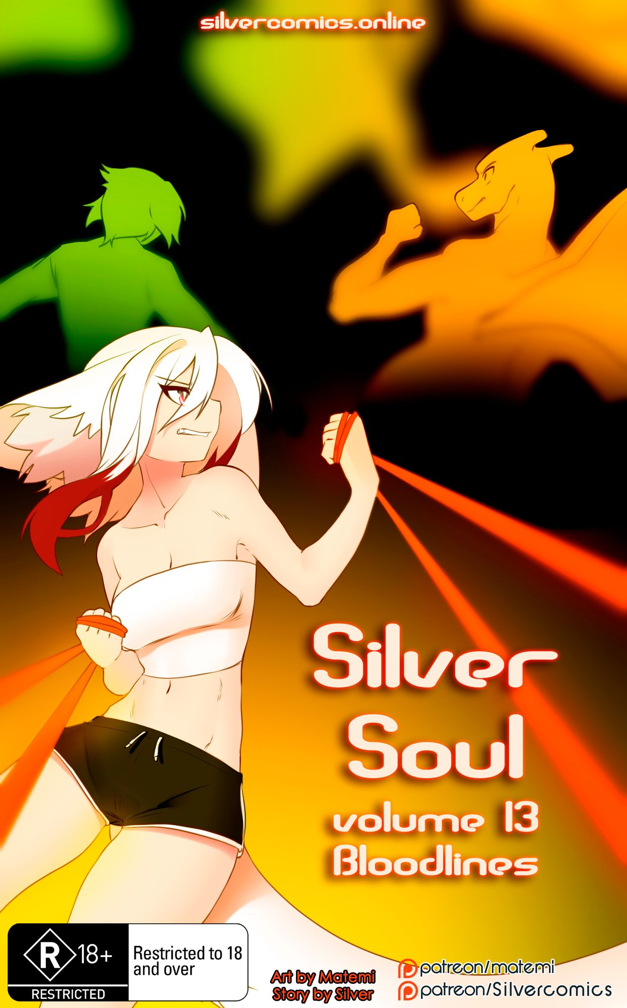 Silver Soul (Pokemon) Chapter 13 - Page 1